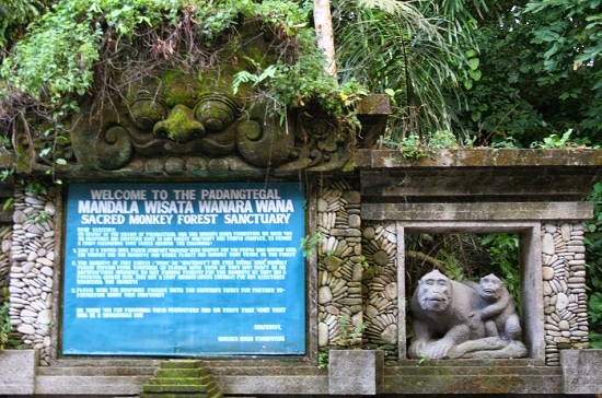 Monkey Forest Ubud