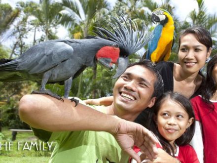 Bali Bird park - BaliWisataTravel.com
