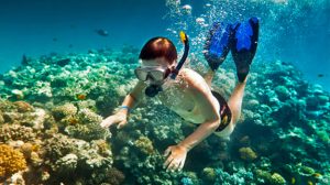 Bali Snorkeling - BaliWisataTravel.com