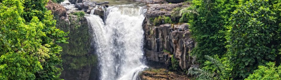 Ubud Tour - Bali - BaliWisataTravel.com