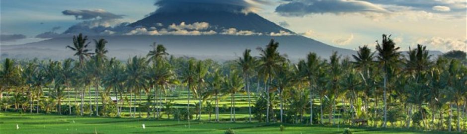 ubud Paket Wisata Bali - BaliWisataTravel.com