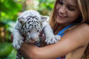 Bali Zoo