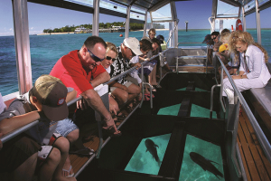 glass-bottom-boat watersport tanjung benoa