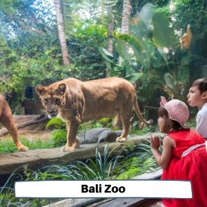 Bali Zoo