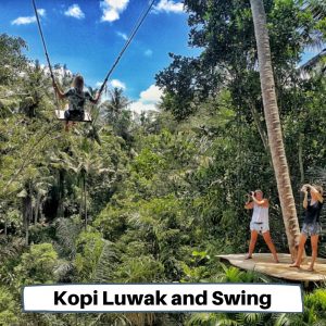 Kopi Luwak And Swing