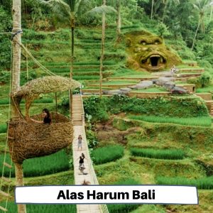 Alas Harum Bali